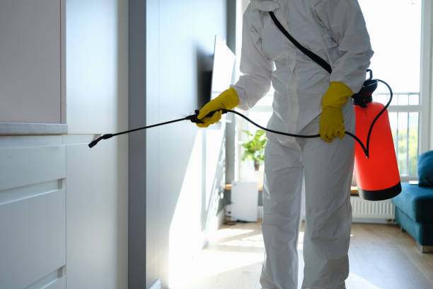 Best Mold Remediation  in Bigfoot, TX