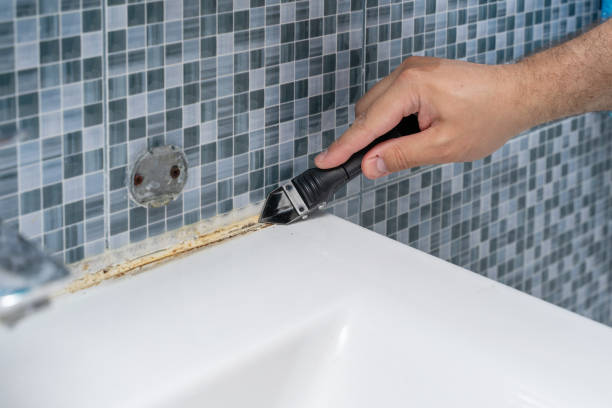 Best Commercial Mold Removal  in Bigfoot, TX